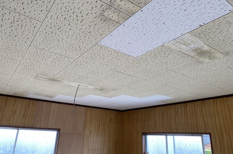 3D2D0354-D6C9-45F5-A206-296FBC975F67